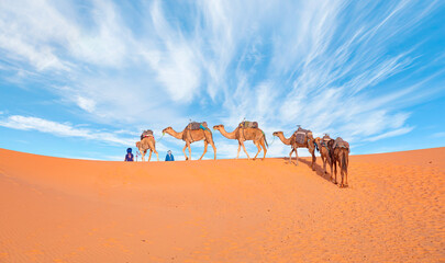 Camel caravan in the desert with amazing cloudy sky -  Sahara, Morrocco