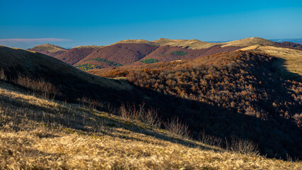 Obraz premium Bieszczady National Park, Poland. Colorful autumn mountain landscape.