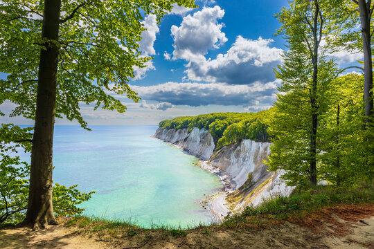 Kreidefelsen an der K&uuml;ste der Ostsee auf der Insel R&uuml;gen