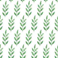 Seamless hand painted green herb pattern