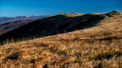 Bieszczady National Park, Poland. Colorful autumn mountain landscape.