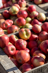 Fototapeta na wymiar pommes rouges dans des cagettes en bois sur un marché