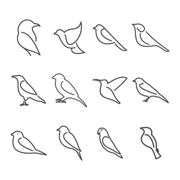 set of bird icon in white background
