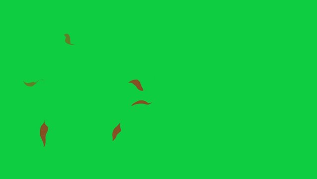 Stylized flat leaves blowing in the wind, 4k animation, green screen included