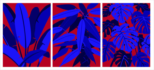 set of tropical botanical plants posters in bright bold blue red colors , night garden prints with indoor houseplants trees, vector illustration graphic art