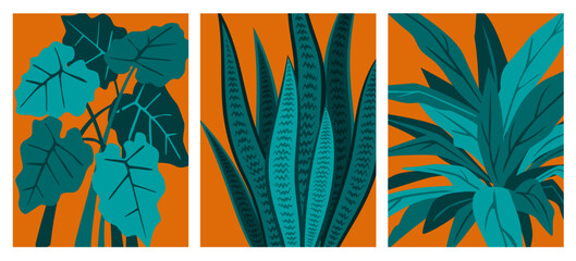 Fototapeta na wymiar abstract foliage decorative houseplants prints set, vector illustration