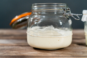 Sourdough starter