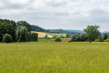 Agriculture fields, trees and green lawns at the Flemish countryside  around Zwalm, Belgium