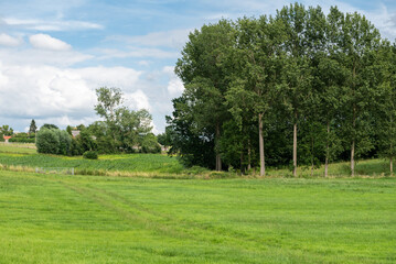 Fototapeta na wymiar Agriculture fields, trees and green lawns at the Flemish countryside around Zwalm, Belgium