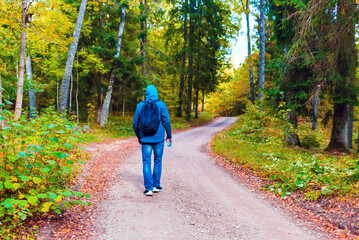 Fototapeta premium A young male hiking with a backpack.Man walks along the autumn forest path way.A healthy lifestyle in nature.Rear view.
