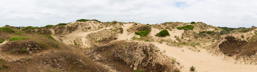 Nature landscape view over the yellow sand of the dunes of Bray-Dunes, France