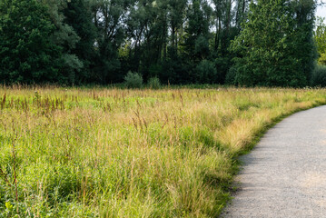 Fototapeta na wymiar Green meadows and walking path in a Flemish nature reserve