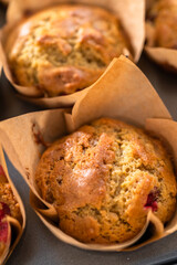 Cranberry muffins