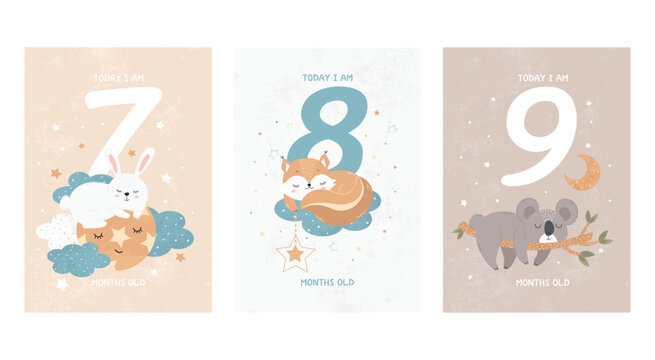 Prints featuring cute sleeping animals, capturing all the special moments by month. Baby number cards for newborns. 7, 8, 9 months. Vector
