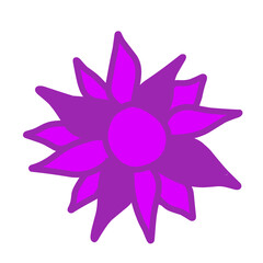 flowers bloom very beautiful