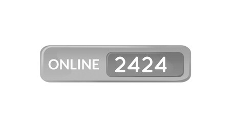 Image of 2424 online on white background