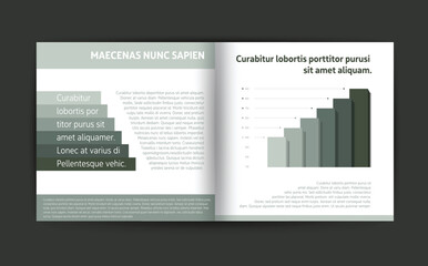 Fototapeta na wymiar Brochure, Booklet page, text layout. Magazine layout for infographics. Web template.