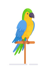 A beautiful colored parrot. Vector illustration of a talking bird on an isolated on white background. Drawn by hand. 