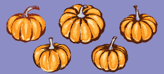 Pumpkin set for decoration halloween or thanksgiving day holidays