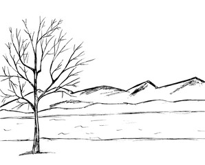Against the background of mountains, a tree with bare branches