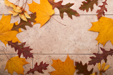 Halloween festive autumn background. Autumn decor from pumpkins, berries, maple leaves and chestnuts on old rustic stone tiles backgrounds. Concept of Thanksgiving day Halloween. Top view copy space