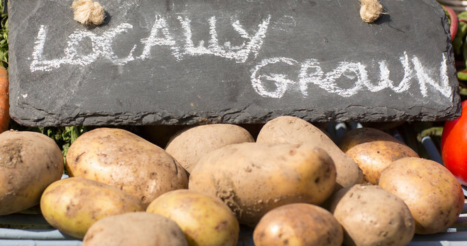 Close-up of locally grown text on stone with raw potatoes for sale at market stall