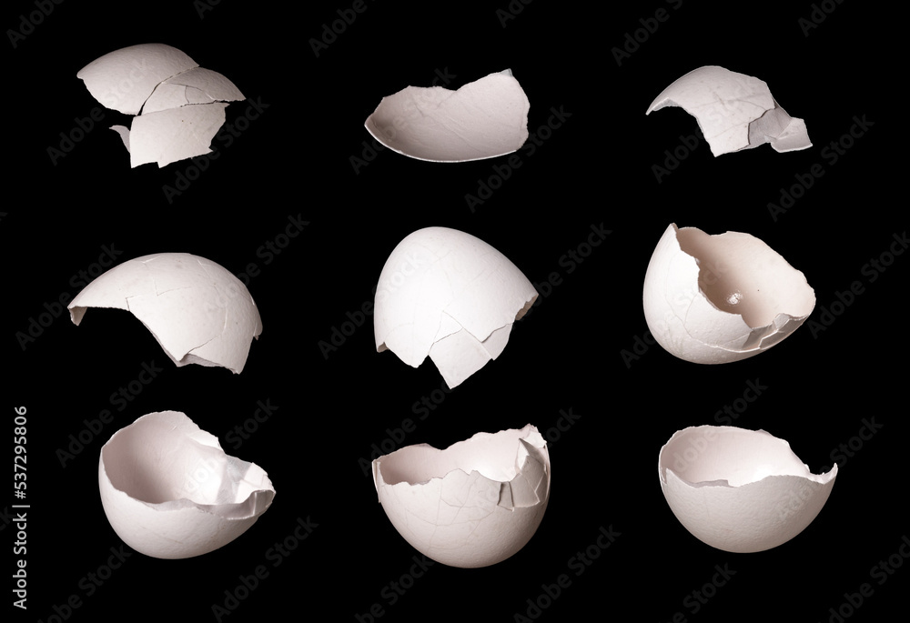 Aufkleber shell fragments with cracks isolated on black background