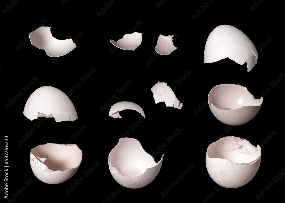 Poster set of eggshell isolated on black background