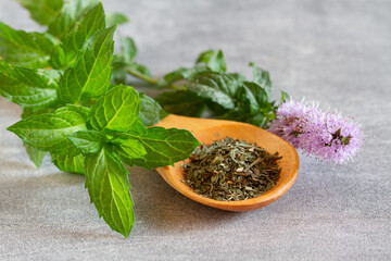 Dry mint leaves on wooden spoon with fresh leaves and mint flower