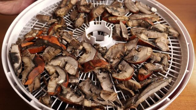 Mushrooms are cut on a grate in an electric dryer. Preparation of dried mushrooms.