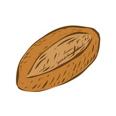 Loaf of bread. Wheat flour baked goods. Bakery and confectionery. Healthy food. Vector isolated art illustration isolated on a white background. Hand drawn sketch