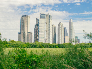 Obraz premium CIUDAD VERDE