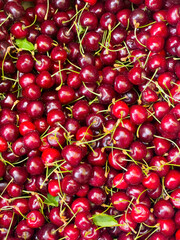 Close up of pile of ripe cherries with stalks and leaves. Large collection of fresh red cherries. Ripe cherries background.