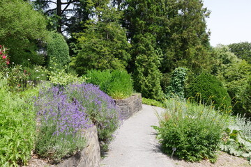 Obraz premium Botanischer Garten Hardtanlage Wuppertal