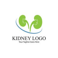 kidney vector illusrtation