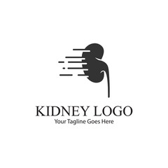 kidney vector illusrtation