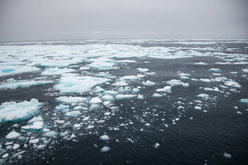Glacier in Greenland 