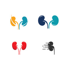 Fototapeta premium kidney vector illusrtation