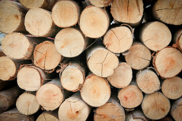 Close up of wood background - Close-up of chopped firewood stacked