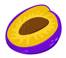 Vector colorful illustration of half of a plum. Isolated on white background.