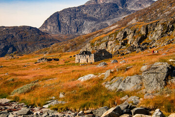 Greenland nature © Travel_IR