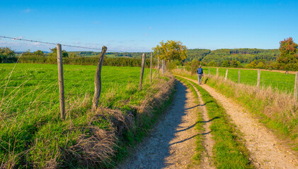 Fototapeta na wymiar Fields and trees in a green hilly grassy landscape under a blue sky in sunlight in autumn, Voeren, Limburg, Belgium, October, 2022