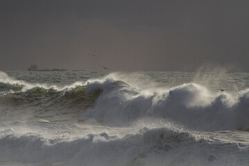 Long stormy breaking wave