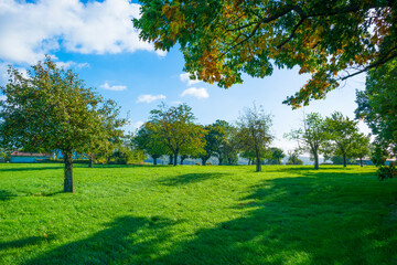 Fields and trees in a green hilly grassy landscape under a blue sky in sunlight in autumn, Voeren, Limburg, Belgium, October, 2022