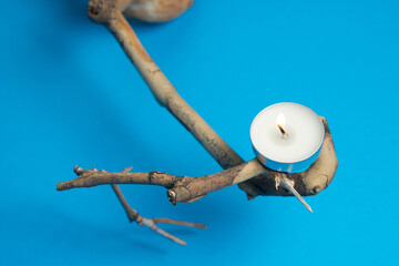 Scented tea candle on a tree branch on a blue background. Burning tea candle