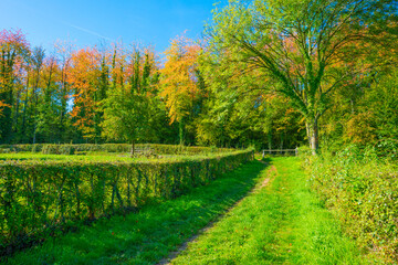 Fields and trees in a green hilly grassy landscape under a blue sky in sunlight in autumn, Voeren, Limburg, Belgium, October, 2022
