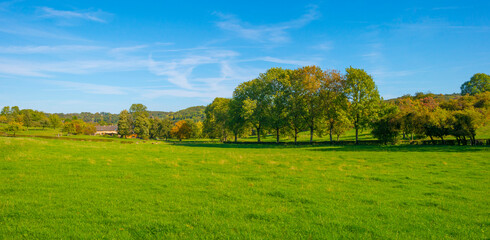 Fields and trees in a green hilly grassy landscape under a blue sky in sunlight in autumn, Voeren, Limburg, Belgium, October, 2022