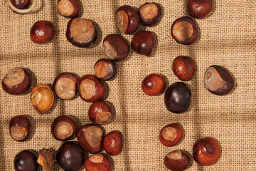 Tasty ripe chestnuts on a burlap or jute sack. Aesthetic autumn desserts concept.