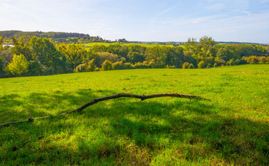 Fields and trees in a green hilly grassy landscape under a blue sky in sunlight in autumn, Voeren, Limburg, Belgium, October, 2022