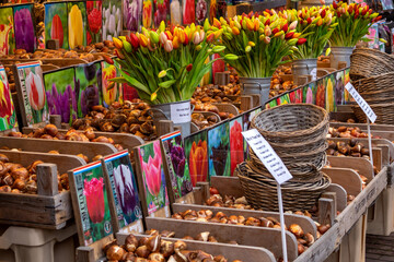  Flower market in the city center Amsterdam.